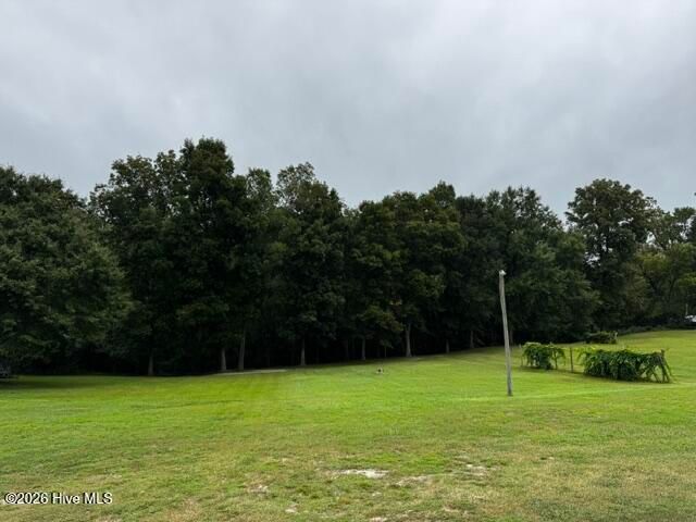 113 Tom Avenue, Castle Hayne, NC 28429