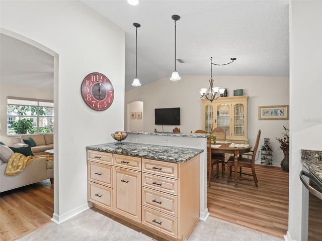 511 CHULA VISTA AVENUE, Lady Lake, FL 32159