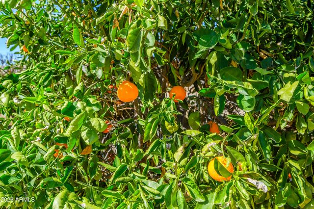 19426 N LAKEFOREST Drive, Sun City, AZ 85373