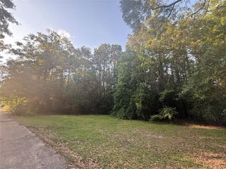 TBD Forse Drive, Woodville, TX 75979