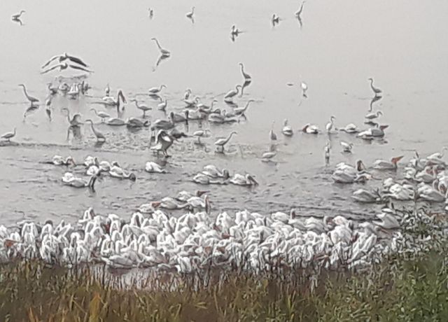 38038 Modoc Point Road, Chiloquin, OR 97624