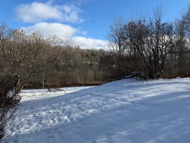 77 Wyman Road, Morristown, VT 05661