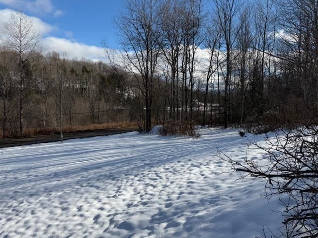 77 Wyman Road, Morristown, VT 05661