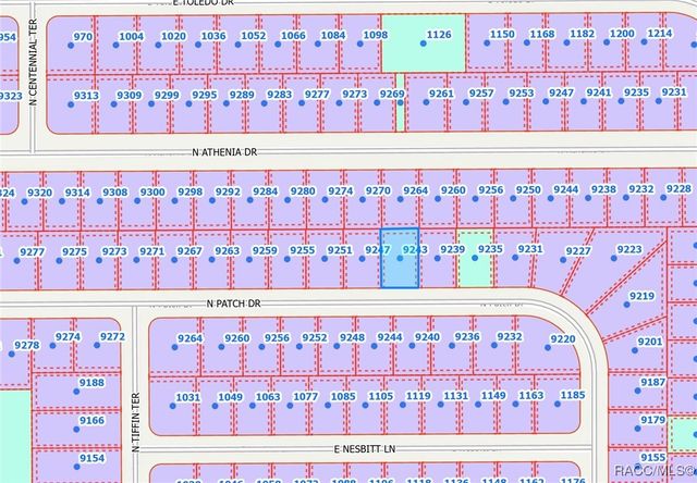 9243 N Patch Drive, Citrus Springs, FL 34434