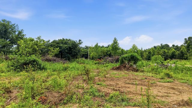 301 County Road 315 Lot 1, Bryant, AL 35958