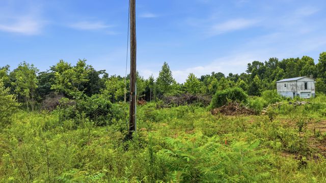 301 County Road 315 Lot 1, Bryant, AL 35958