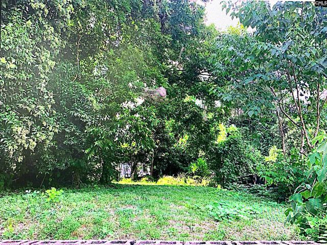 2313 Greene Street, Columbia, SC 29205