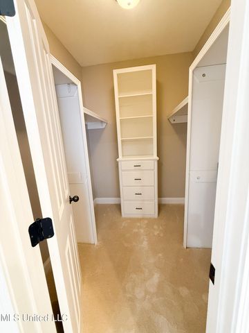 813 Terrapin Lane, Brandon, MS 39047