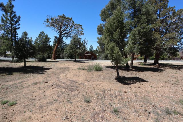 0 Dixie Lee, Sugarloaf, CA 92386