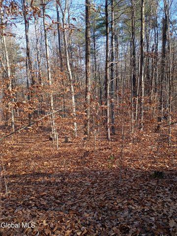 50 Lincoln Mountain Road, Greenfield, NY 12833