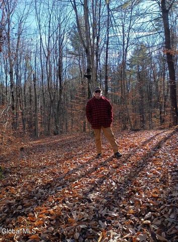 50 Lincoln Mountain Road, Greenfield, NY 12833