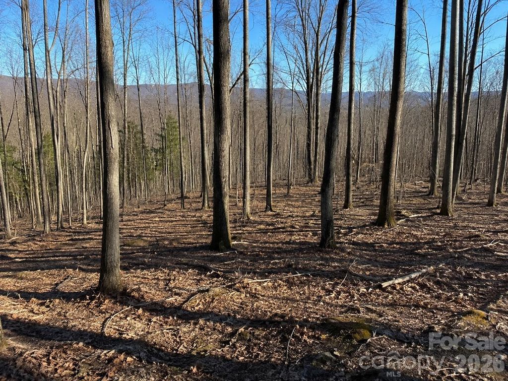 00 Crab Apple Drive, Burnsville, NC 28714