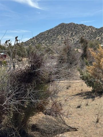0 Minna Gombell, Pioneertown, CA 92268