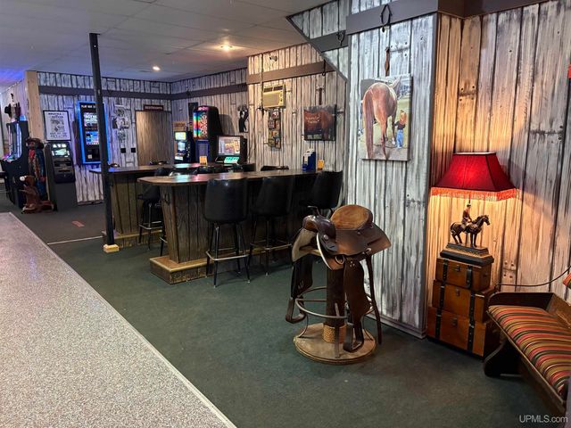 208 S Sophie Street, Bessemer, MI 49911