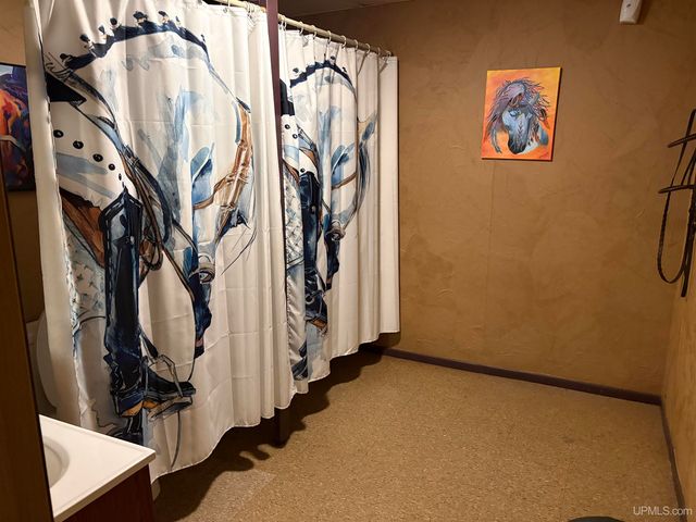 208 S Sophie Street, Bessemer, MI 49911