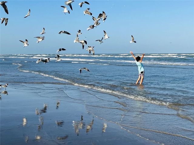 7477 State Highway 361 106, Port Aransas, TX 78373