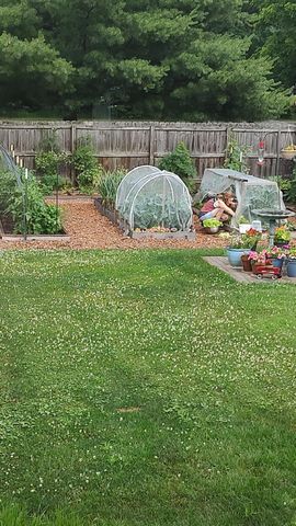 426 S Webster Street, Bellevue Village, MI 49021