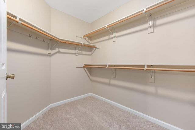 5398 PAYNE DR, King George, VA 22485