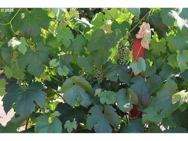 3030 Ne NEWBY St, Mc Minnville, OR 97128