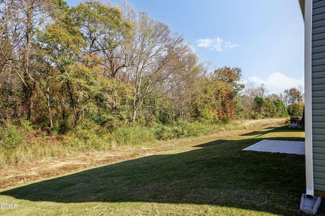 233 New Twin Branch Court, Smithfield, NC 27577