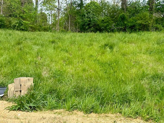 767 Hensley Road Lot 3, East Bernstadt, KY 40729