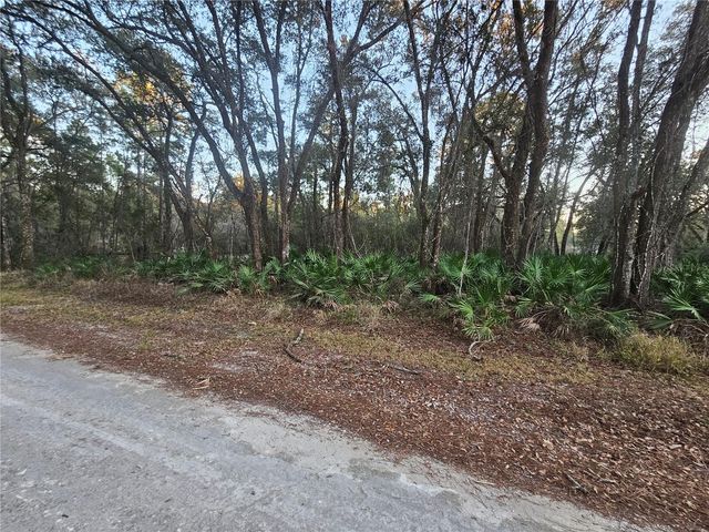 ROSEHILL DRIVE, Webster, FL 33597