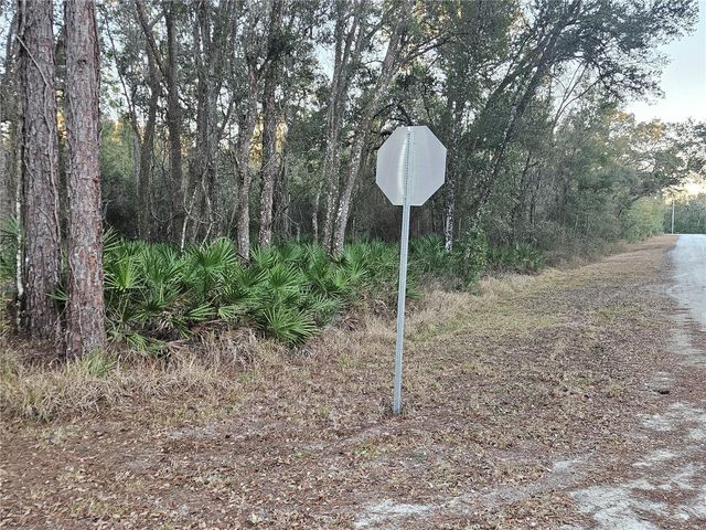ROSEHILL DRIVE, Webster, FL 33597