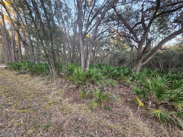 ROSEHILL DRIVE, Webster, FL 33597