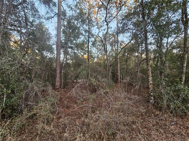 ROSEHILL DRIVE, Webster, FL 33597