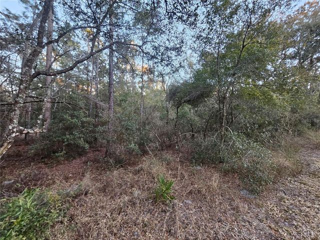 ROSEHILL DRIVE, Webster, FL 33597