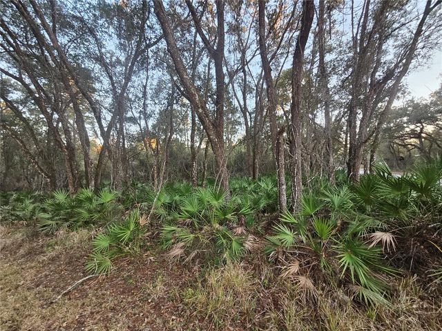 ROSEHILL DRIVE, Webster, FL 33597