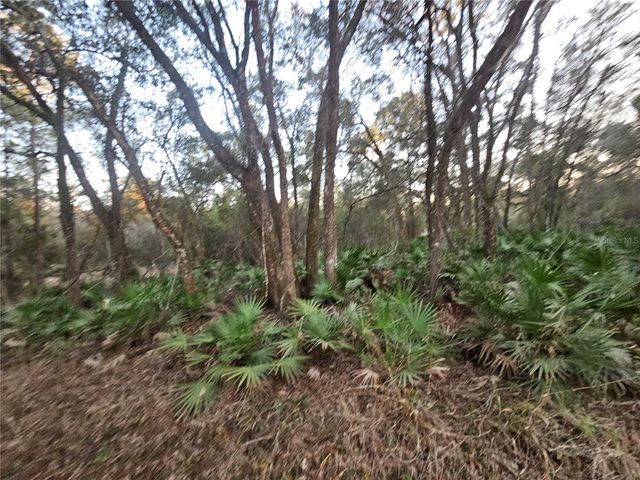 ROSEHILL DRIVE, Webster, FL 33597