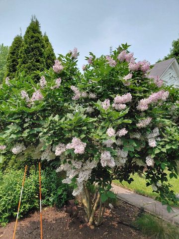 1106 Madison Street, Sauk City, WI 53583