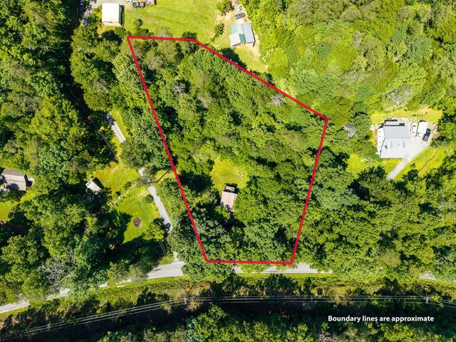 1643 Lucius Road, Cherry Log, GA 30522