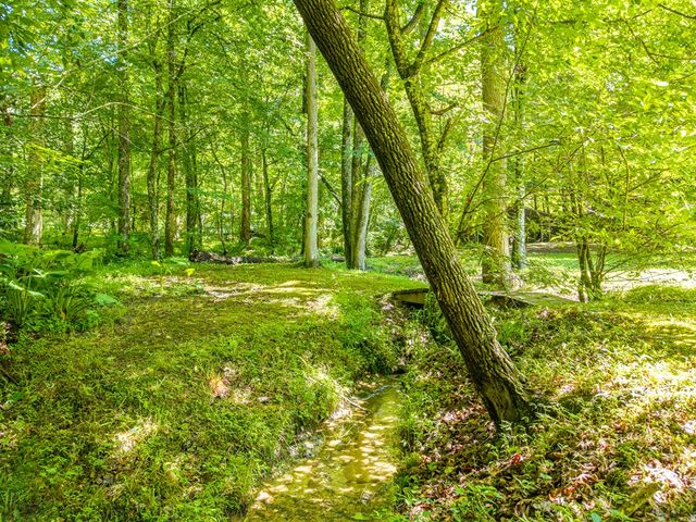 1643 Lucius Road, Cherry Log, GA 30522