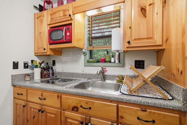 1643 Lucius Road, Cherry Log, GA 30522