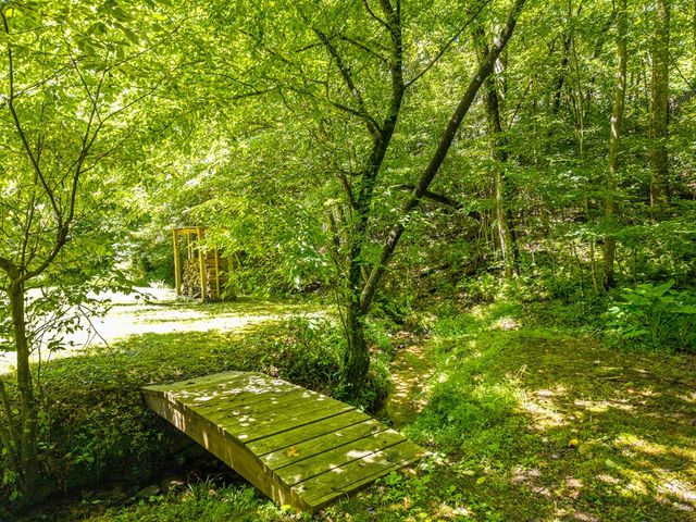 1643 Lucius Road, Cherry Log, GA 30522