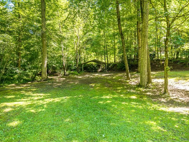 1643 Lucius Road, Cherry Log, GA 30522