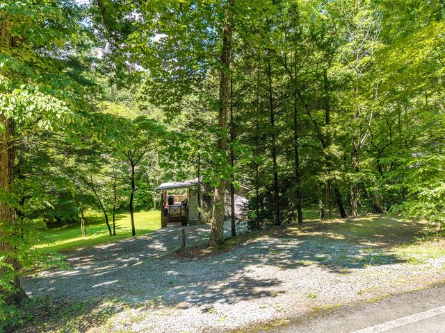1643 Lucius Road, Cherry Log, GA 30522