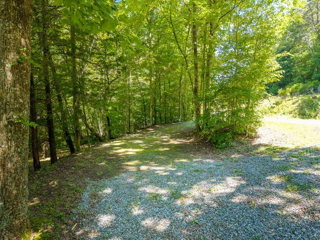 1643 Lucius Road, Cherry Log, GA 30522
