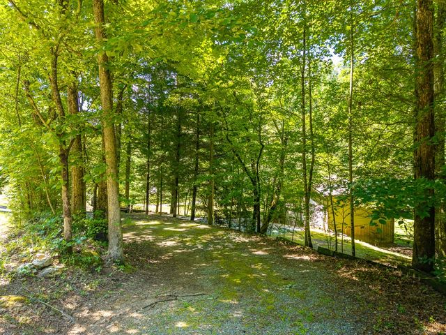 1643 Lucius Road, Cherry Log, GA 30522