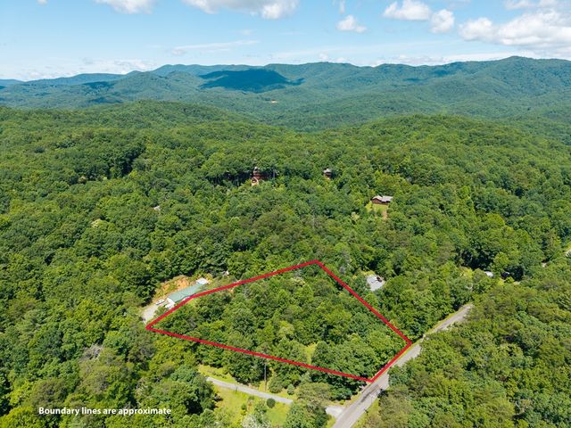 1643 Lucius Road, Cherry Log, GA 30522