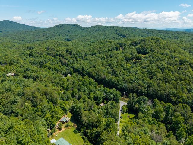 1643 Lucius Road, Cherry Log, GA 30522
