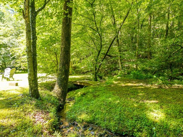 1643 Lucius Road, Cherry Log, GA 30522