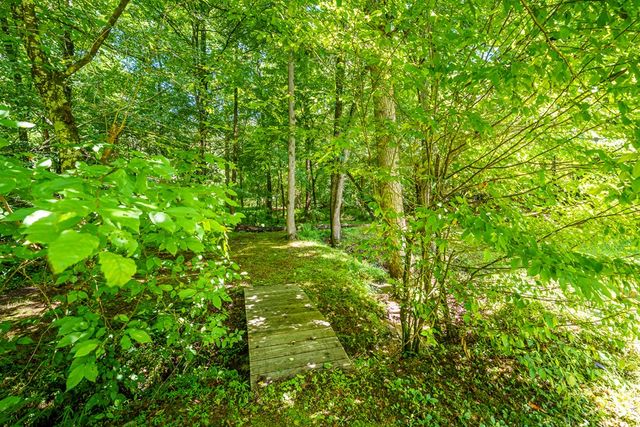 1643 Lucius Road, Cherry Log, GA 30522