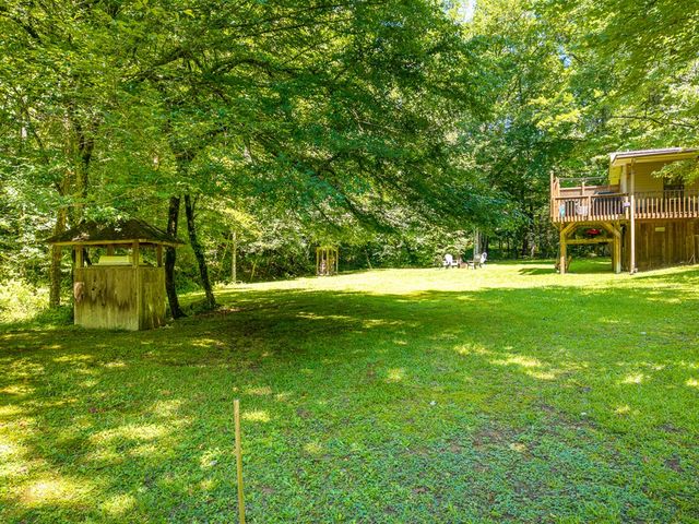 1643 Lucius Road, Cherry Log, GA 30522