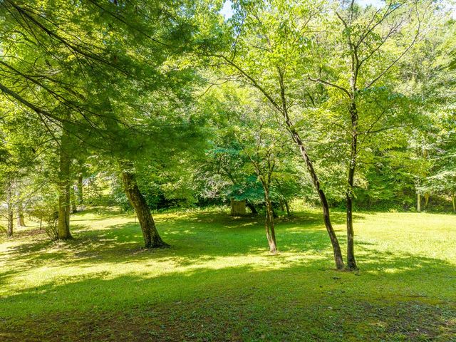 1643 Lucius Road, Cherry Log, GA 30522