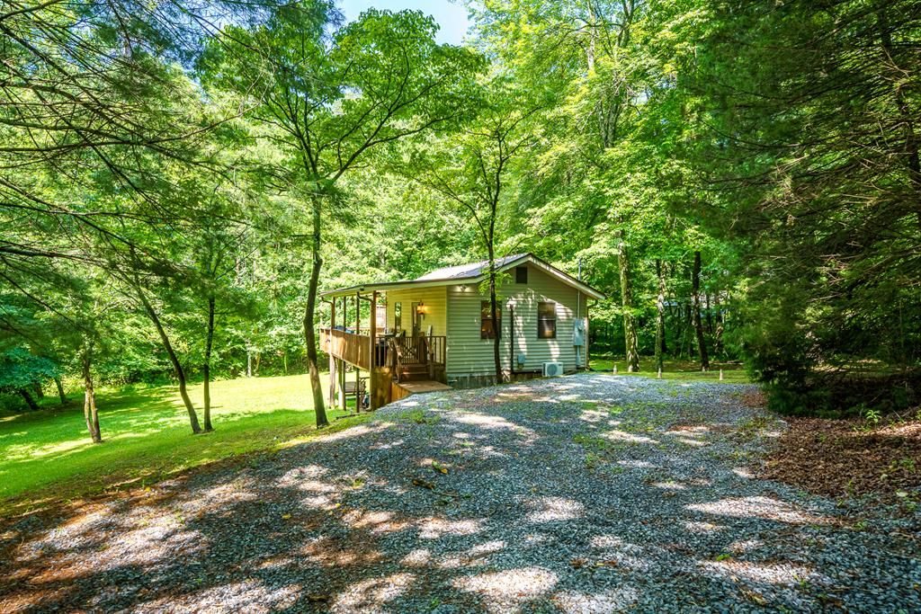 1643 Lucius Road, Cherry Log, GA 30522