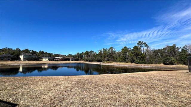 220 STARBIRD COURT, Davenport, FL 33896