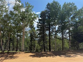 242 Apache Creek Drive, Florissant, CO 80816